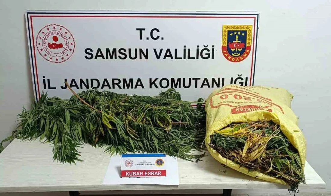 SAMSUN'DA JANDARMA EKİPLERİ TARAFINDAN