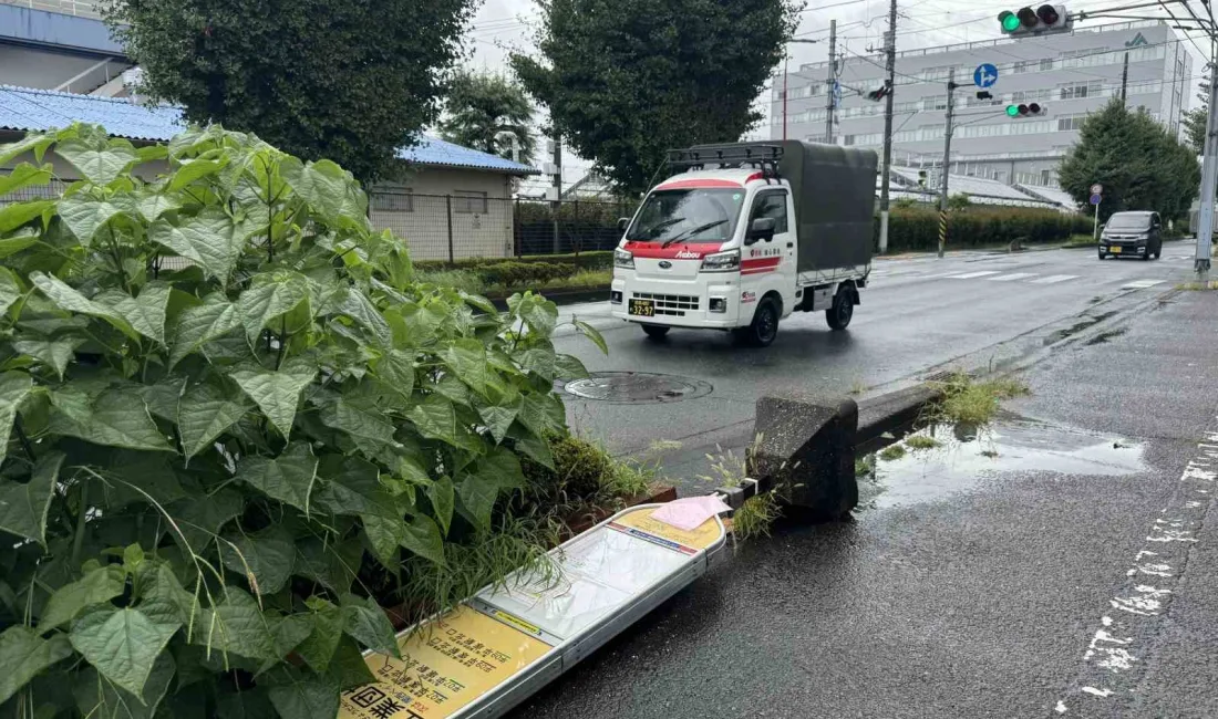 JAPONYA'DA AMPİL TAYFUNU NEDENİYLE