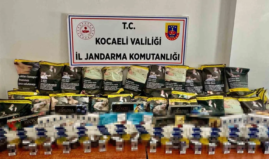 KOCAELİ'NİN İZMİT VE DARICA