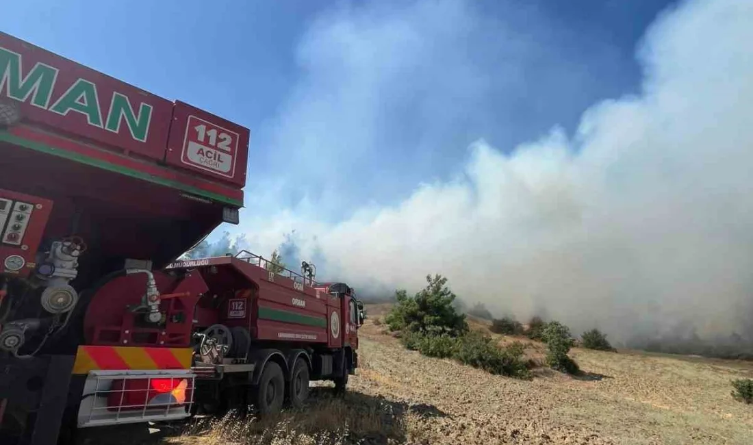 KAHRAMANMARAŞ’TA ÇIKAN ORMAN YANGININA