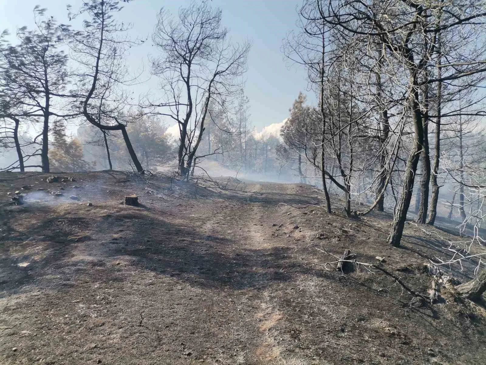 Kahramanmaraş’taki orman yangını büyük ölçüde kontrol altına alındı