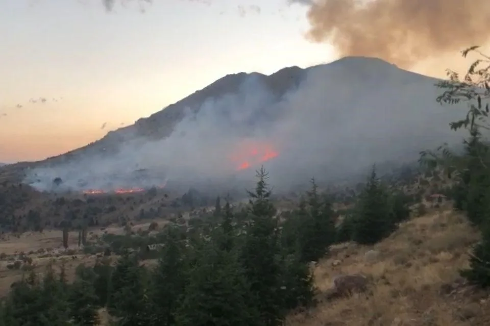 Kahramanmaraş’taki orman yangını kontrol altına alındı