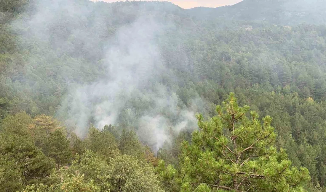 KARABÜK'ÜN OVACIK İLÇESİNE BAĞLI