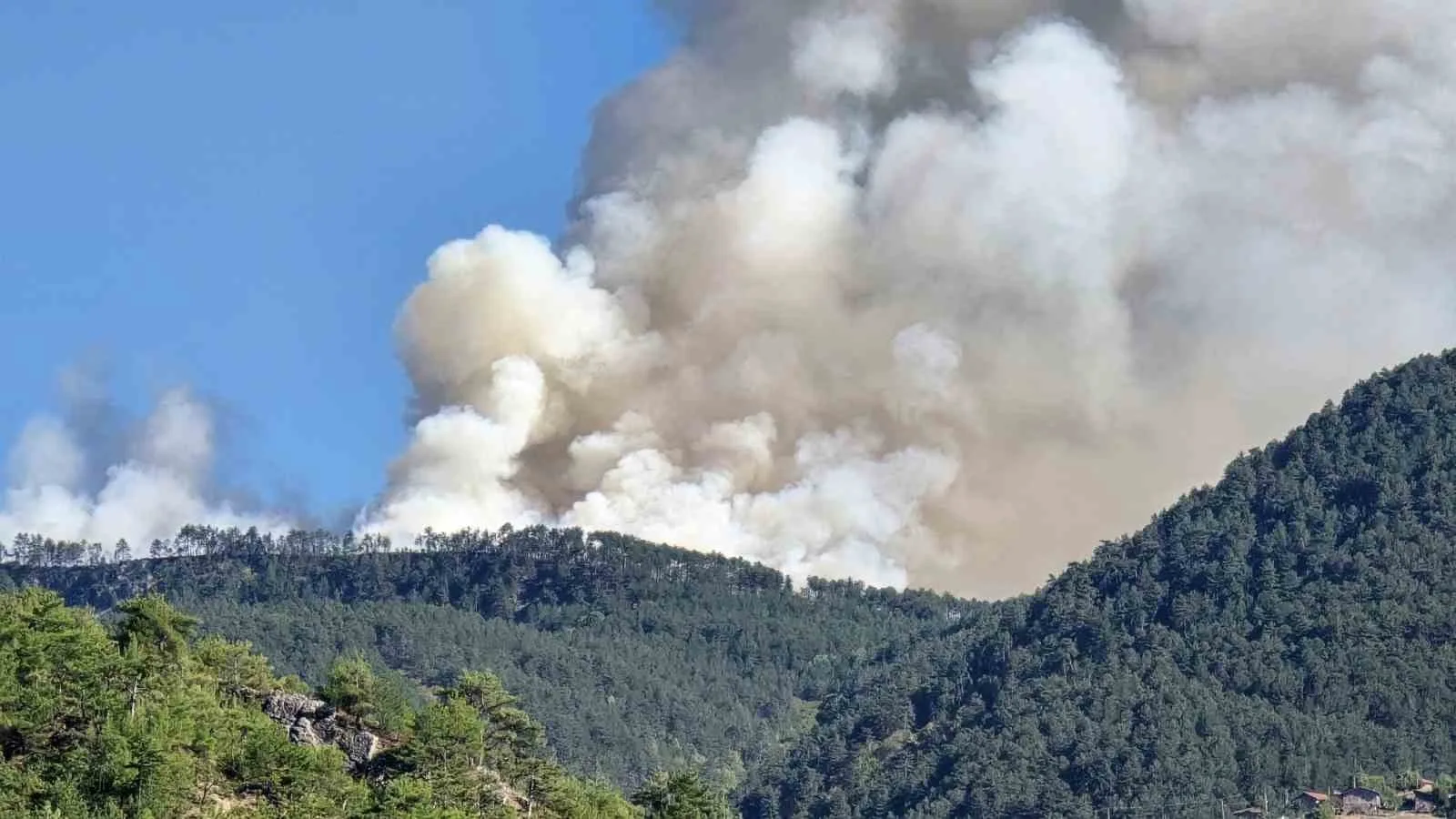 Karabük’te orman yangını