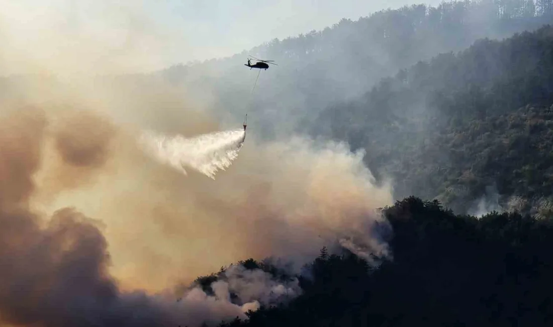 KARABÜK’ÜN OVACIK İLÇESİNDE ORMANLIK