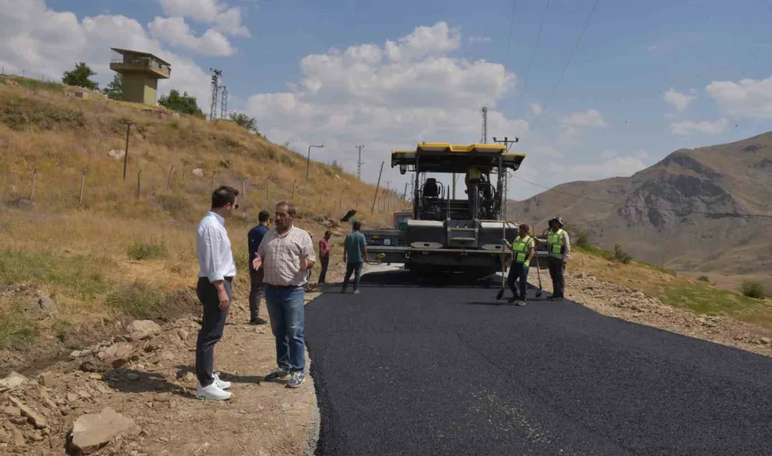 HAKKARİ VALİ YARDIMCISI VE