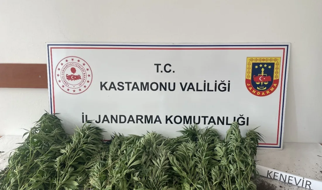 KASTAMONU’NUN DEVREKANİ İLÇESİNDE 132