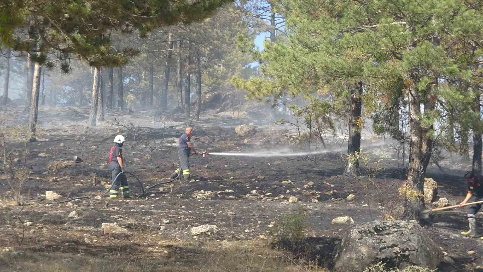 Kastamonu’da çıkan orman yangını söndürüldü