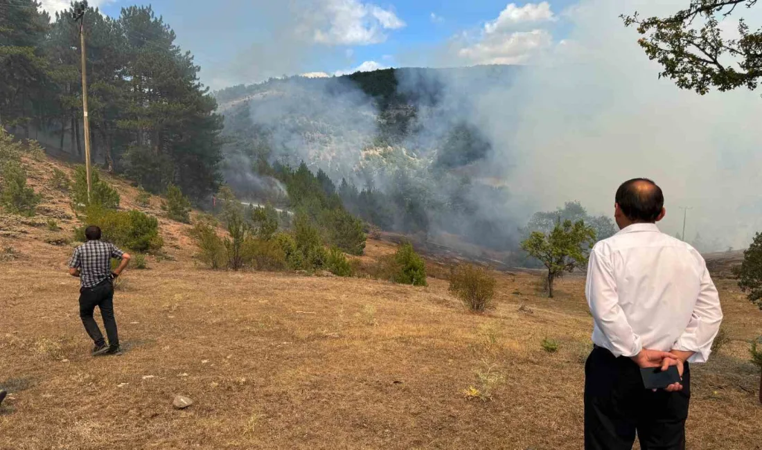 KASTAMONU'NUN HANÖNÜ VE TAŞKÖPRÜ