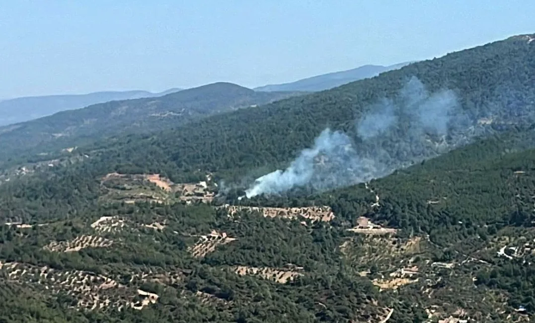 İZMİR'İN KEMALPAŞA İLÇESİNDE ÇIKAN