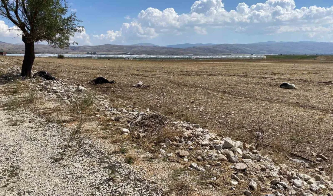 ANTALYA'NIN KORKUTELİ İLÇESİNE BAĞLI