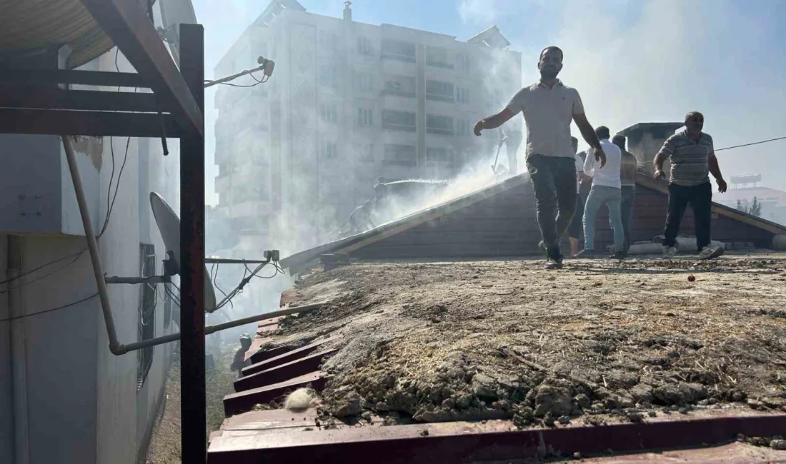 DİYARBAKIR’IN KULP İLÇESİNDE SABAH