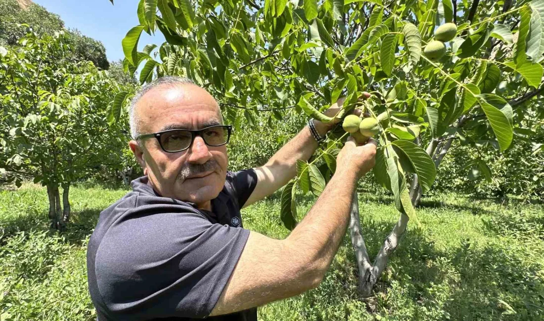 HAKKARİ'NİN YÜKSEKOVA İLÇESİNDE YAŞAYAN