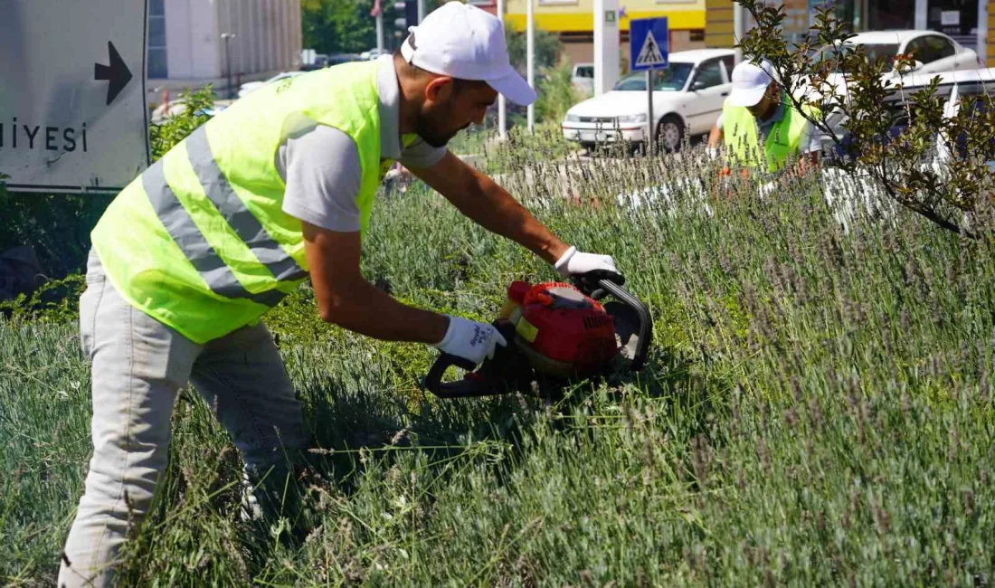 BİLECİK'TE ORTA REFÜJÜ GÜZELLEŞTİREN