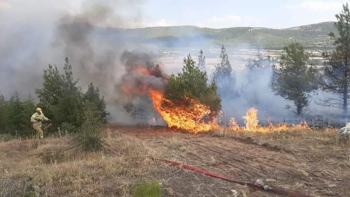 Makilik alanda çıkan yangın yoğun müdahaleyle kontrol altına alındı