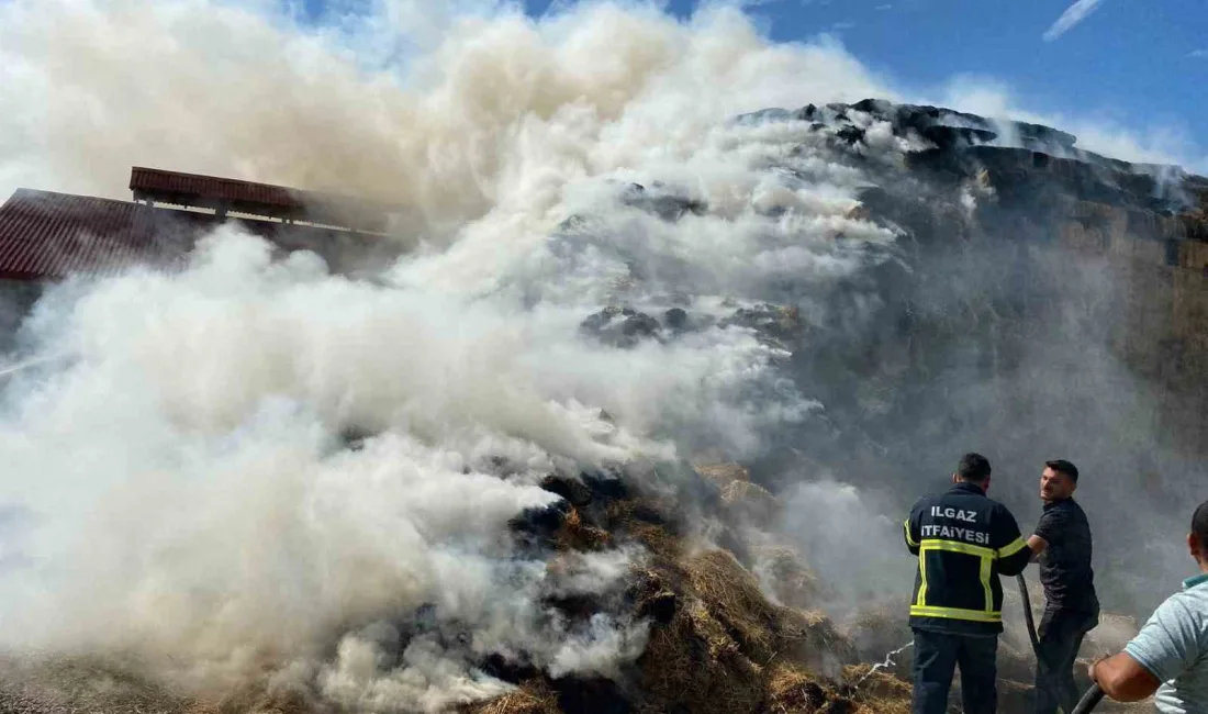 ÇANKIRI’NIN ILGAZ İLÇESİNDE BULUNAN