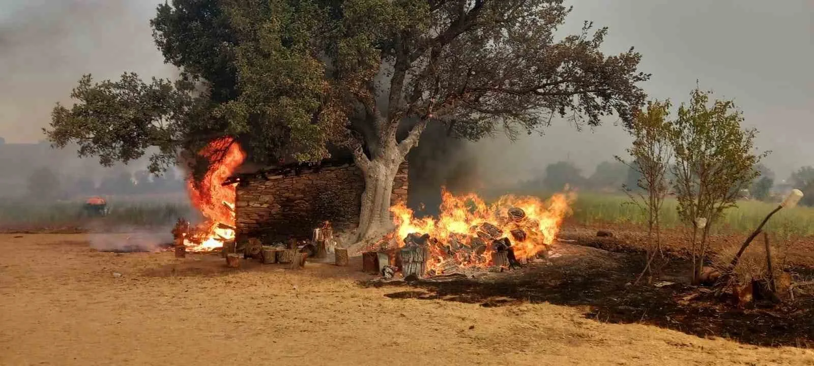 Manisa’da bir gün arayla çıkan orman yangınları devam ediyor