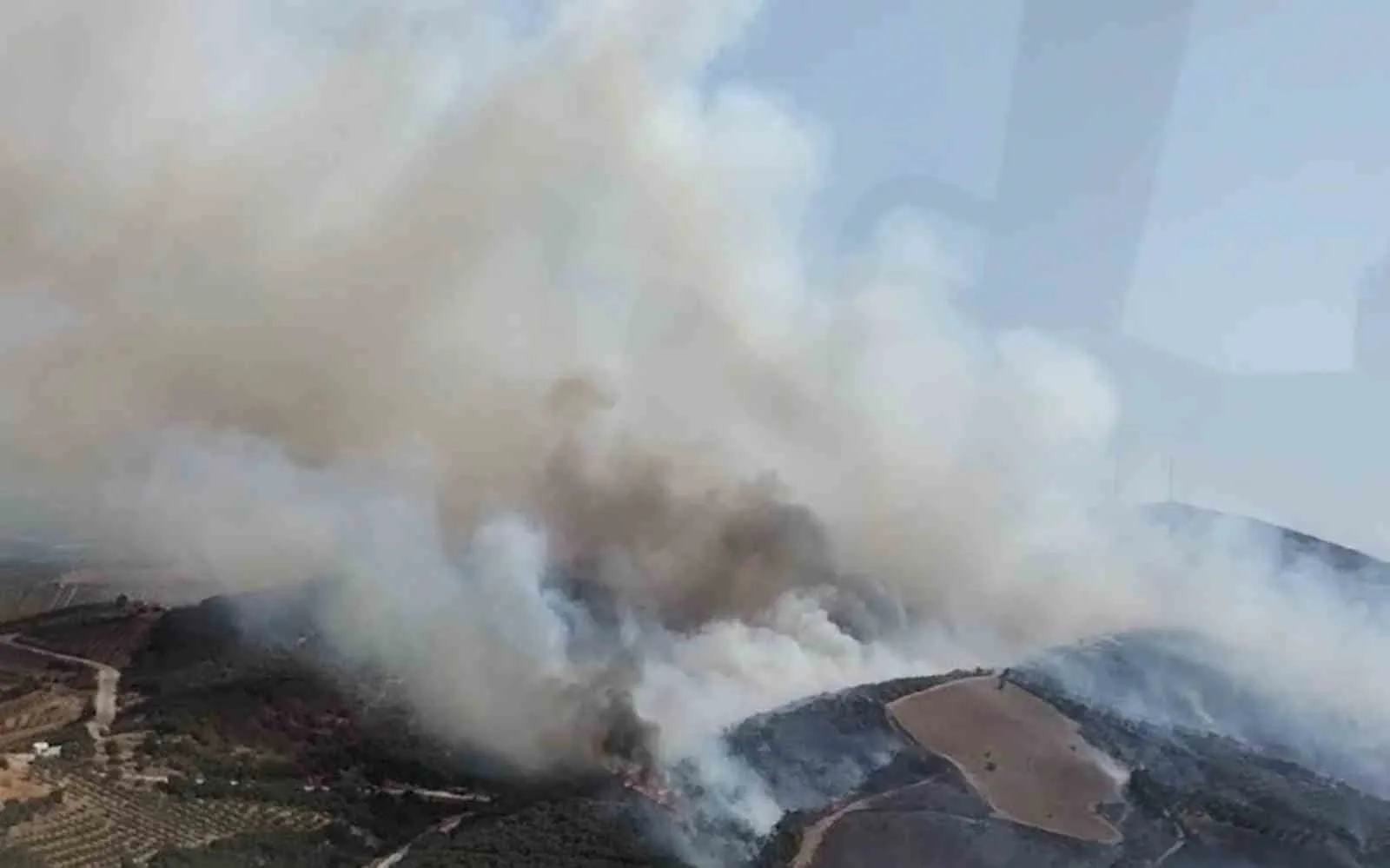 Manisa’da orman yangını