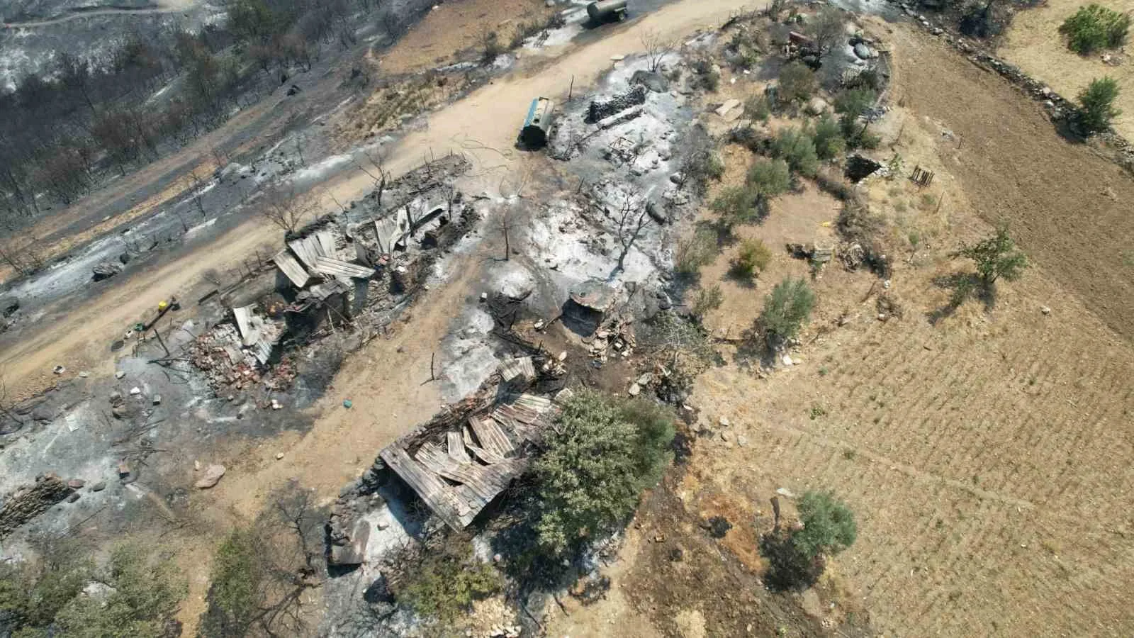 Manisa’daki orman yangınında acı tablo