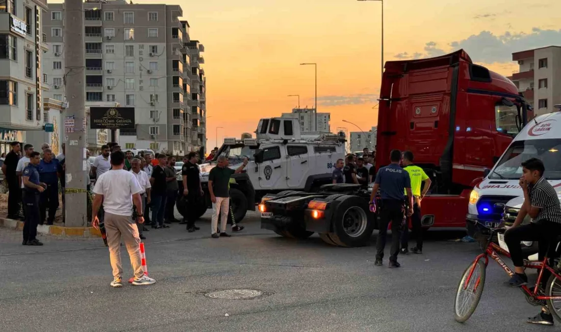 MARDİN’İN NUSAYBİN İLÇESİNDE TIR