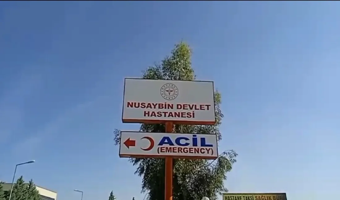 MARDİN’İN NUSAYBİN İLÇESİNDE İKİ