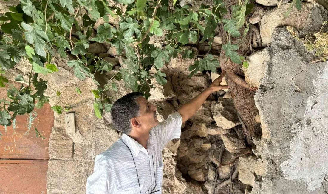 MARDİN’İN ARTUKLU İLÇESİNDE BAKIMSIZLIK