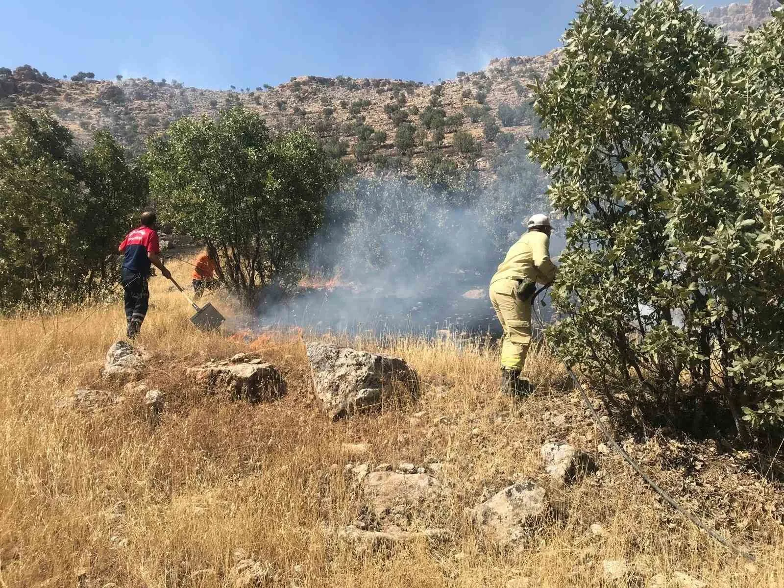 Mardin’de ormanlık alanda çıkan yangın söndürüldü