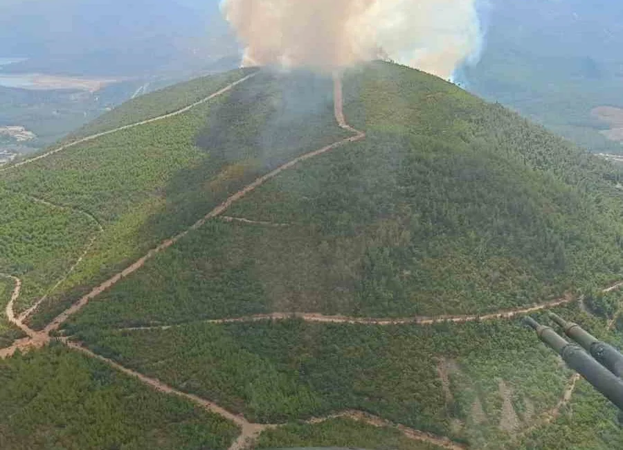 MENDERES’TE ORMAN YANGINI ÇIKTI