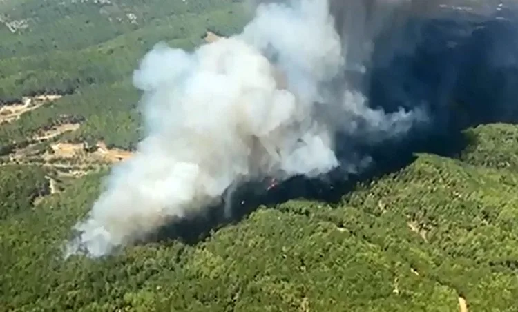 Muğla’da eş zamanlı orman yangını