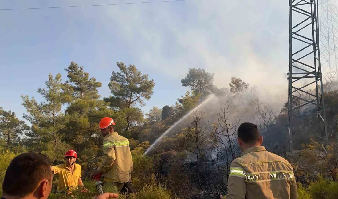 MARMARİS’TE ÇIKAN ORMAN YANGINI