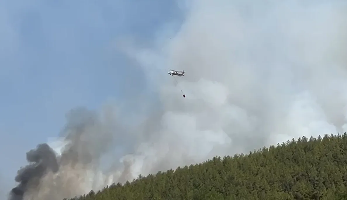 Muğla’daki yangınlara 20 hava aracıyla müdahale ediliyor