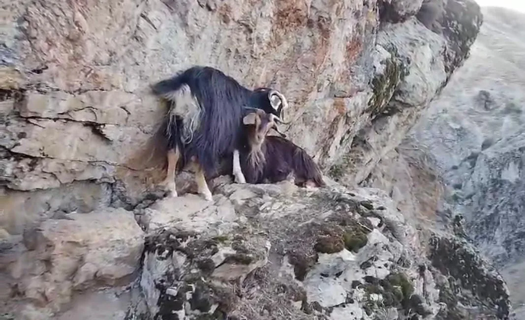 KIZILAĞAÇ KANYONUNDA Kİ KAYALIKLARDA