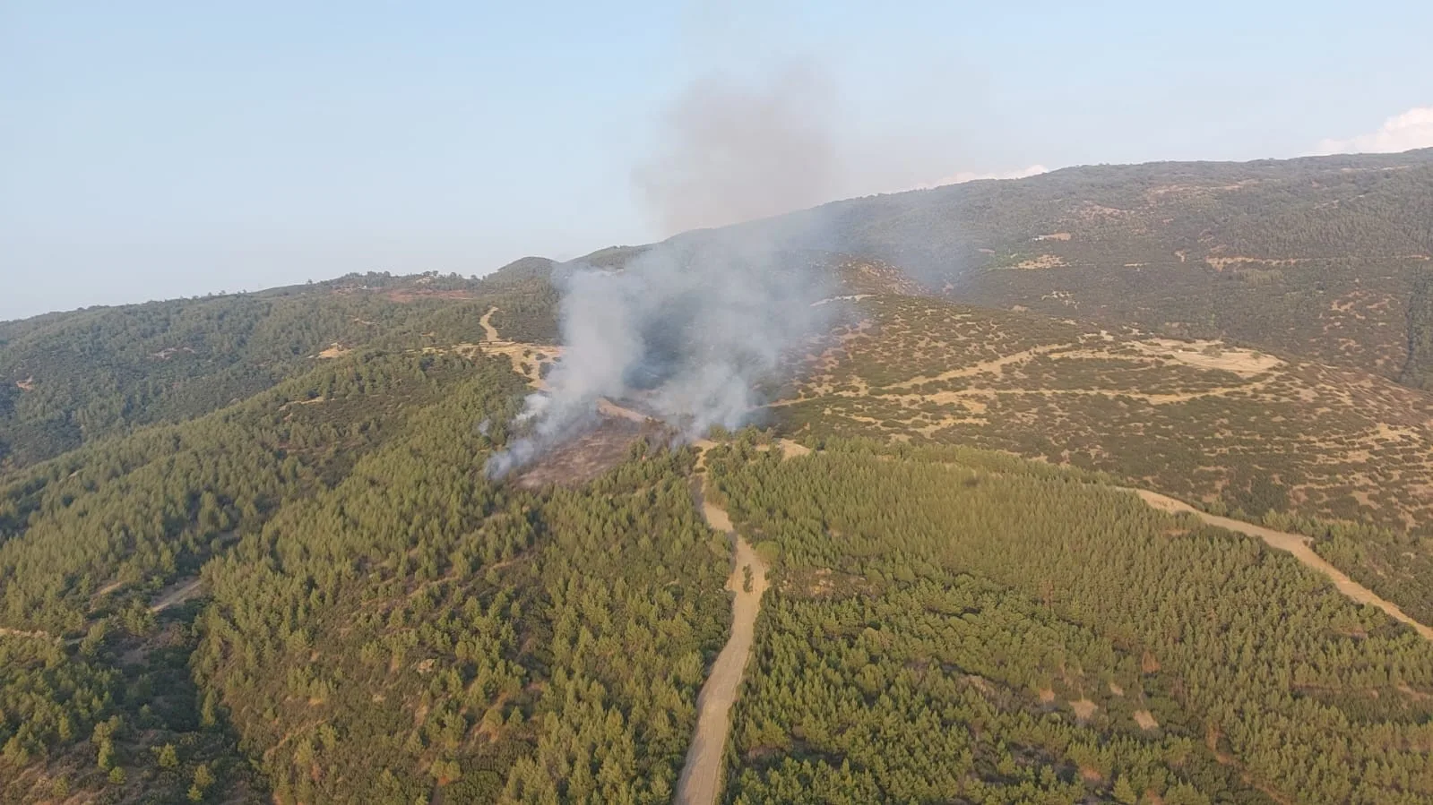 Nazilli’deki orman yangınında 3 hektar alan zarar gördü