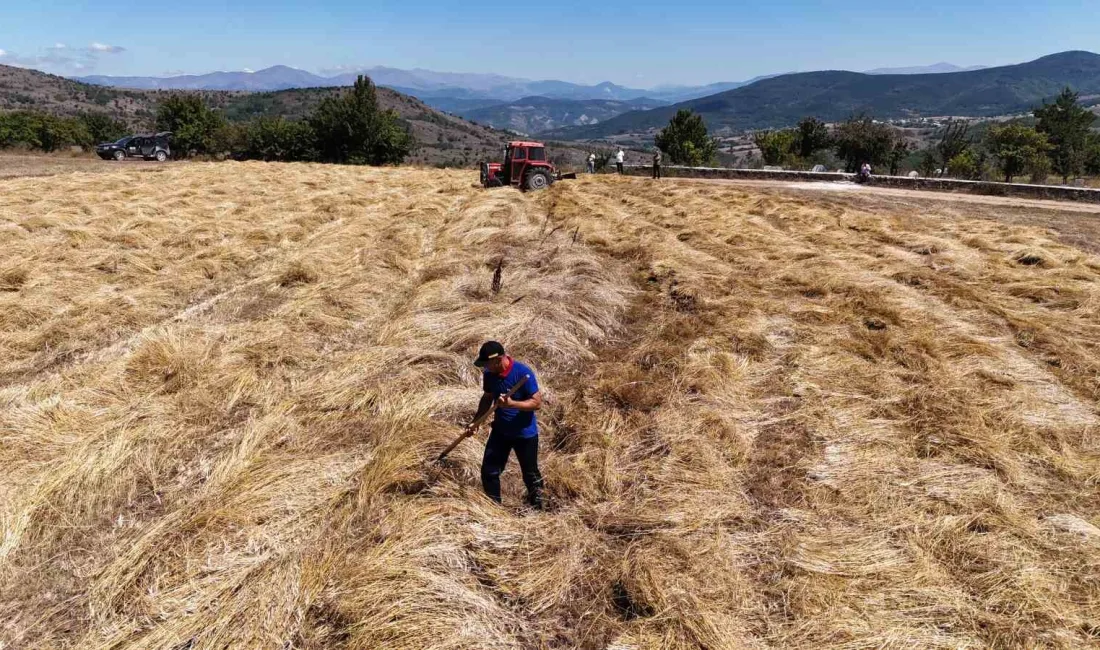 ORDU BÜYÜKŞEHİR BELEDİYESİ TARAFINDAN