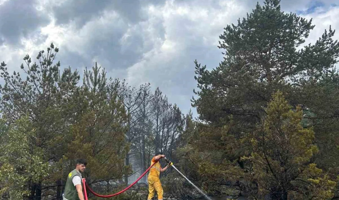 BOLU’DA ÇIKAN ORMAN YANGININA