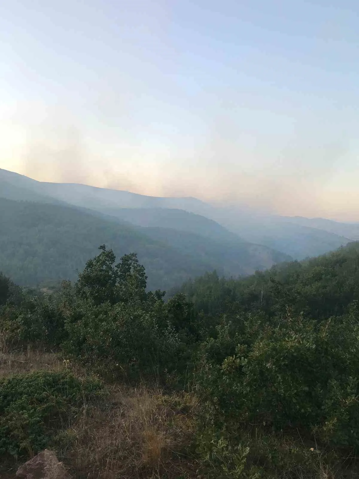 Orman yangınına müdahale eden operatör hayatını kaybetti