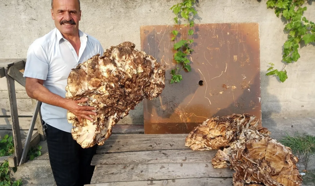 KASTAMONU'NUN HANÖNÜ İLÇESİNDE YAŞAYAN