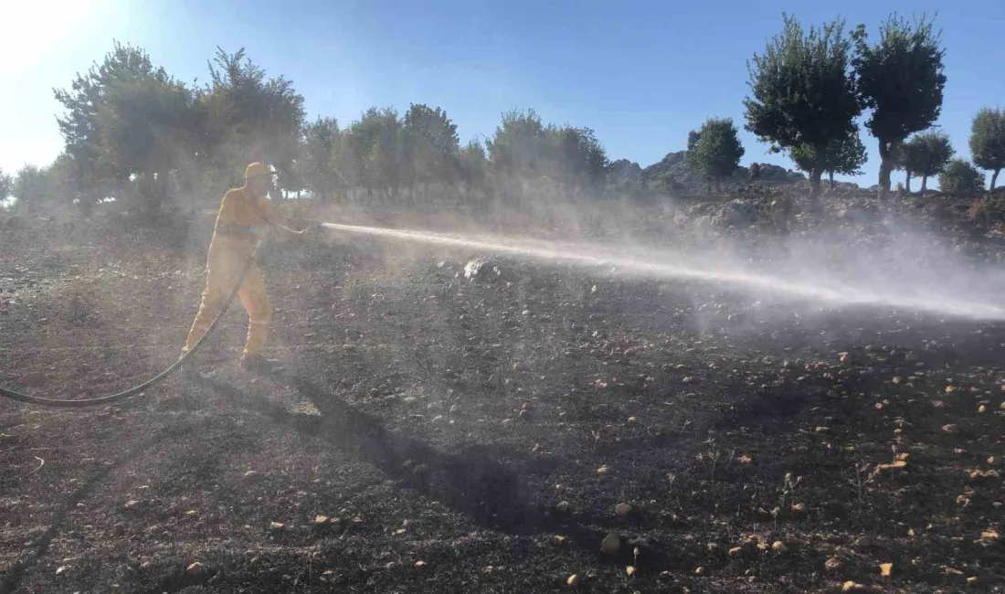 ADIYAMAN'DA DAĞLIK ALANDA ÇIKAN