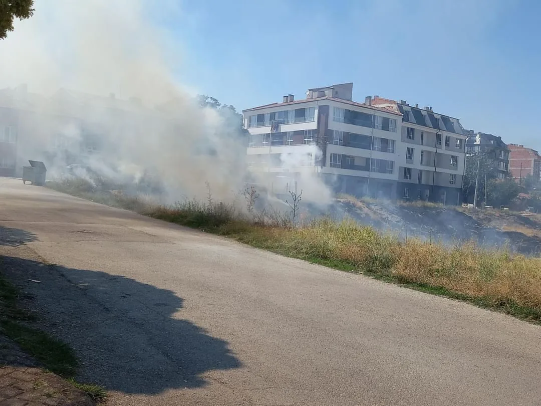 Ot yangını itfaiye tarafından büyümeden söndürüldü