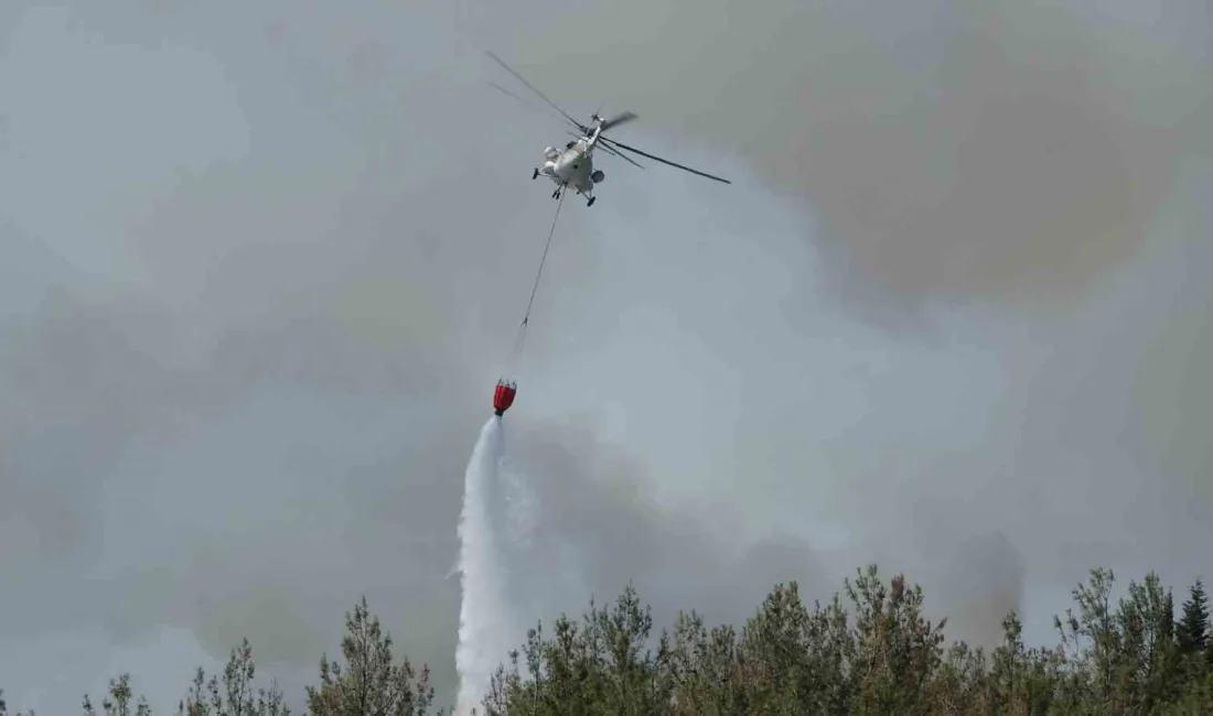 ÇANAKKALE SAVAŞLARI'NIN YAŞANDIĞI TARİHİ