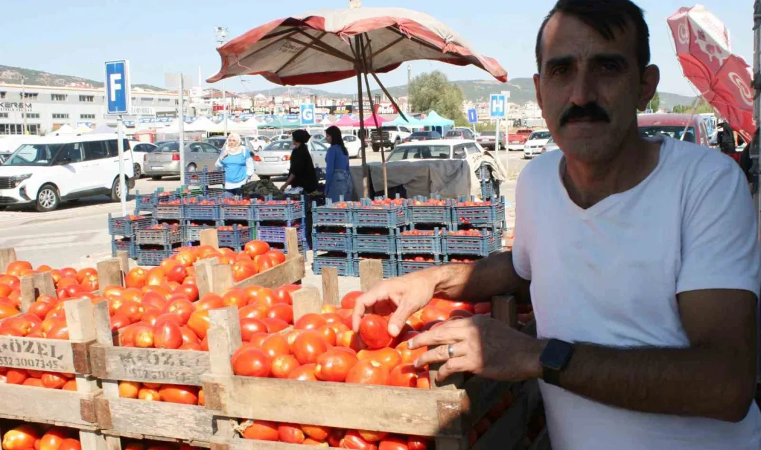 SALÇALIK DOMATESLER GÖRÜCÜYE ÇIKTI!