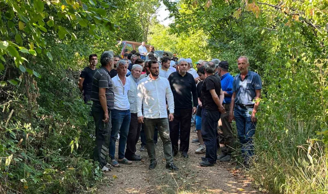 BURSA’NIN ULUDAĞ ETEKLERİNDE BULUNAN