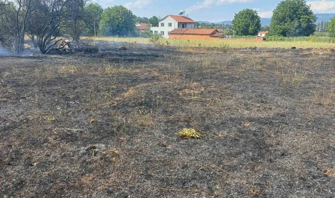 PAZARYERİ’NDE ÇIKAN ARAZİ YANGINI