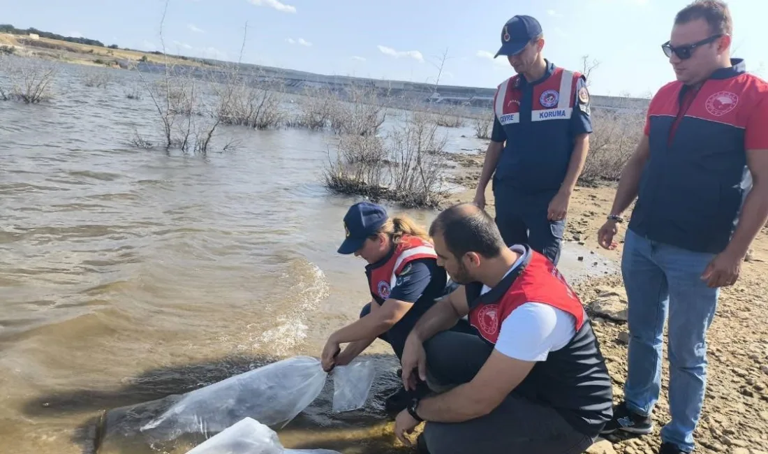 KIRKLARELİ’NDE JANDARMA EKİPLERİ AMACIYLA