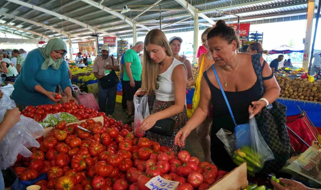 ANTALYA'DA KONYAALTI İLÇESİNDE KURULAN