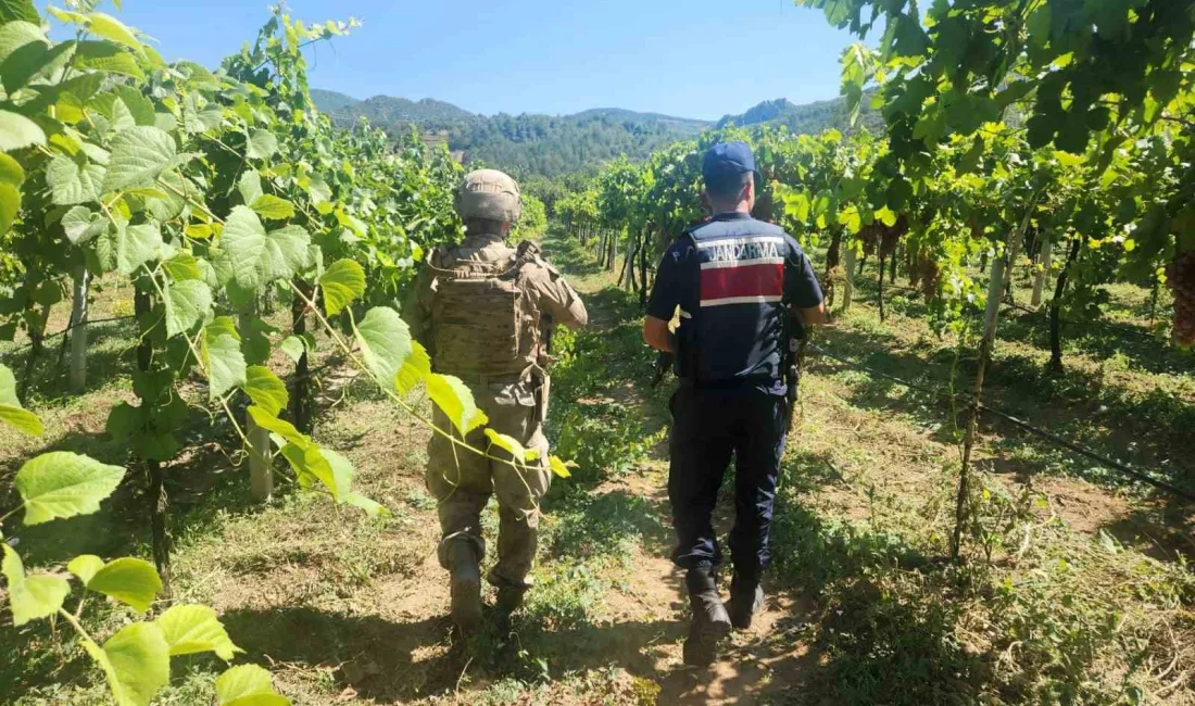 SAKARYA’DA JANDARMA SORUMLULUK BÖLGESİNDE