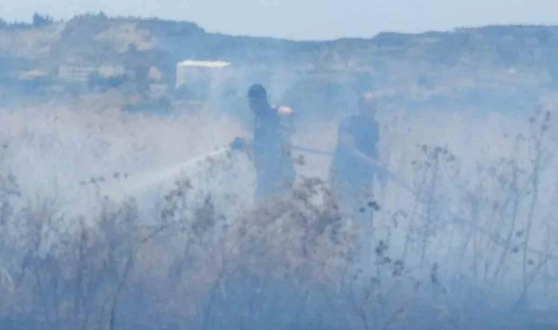 HATAY’IN SAMANDAĞ İLÇESİNDE ÇIKAN