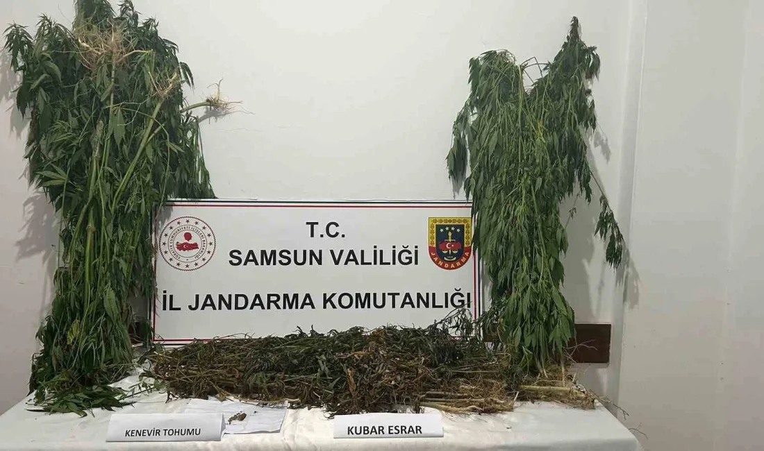 SAMSUN'DA JANDARMA TARAFINDAN 6