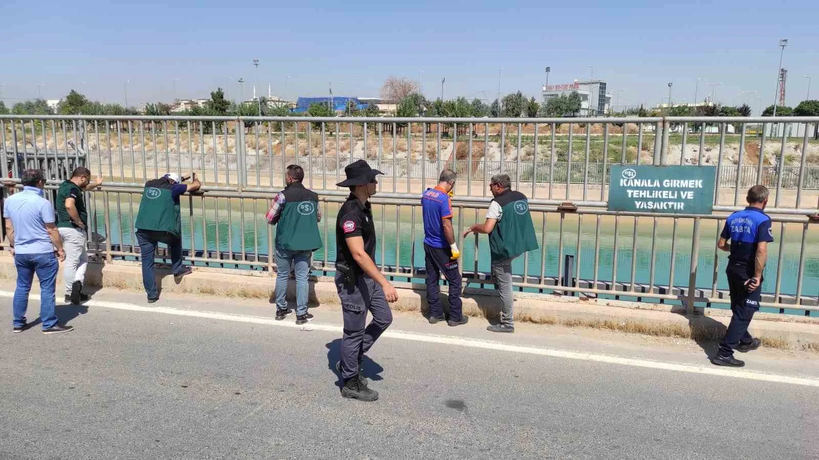 Şanlıurfa’da sulama kanalında görülen dev kaplumbağa ekipleri harekete geçirdi