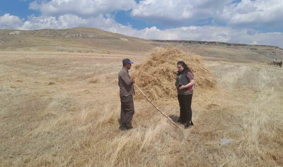 SARIKAMIŞ’TA, 2024’ÜN HASAT SEZONU